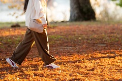 地域の史跡めぐり ～地元のことを知ろう～